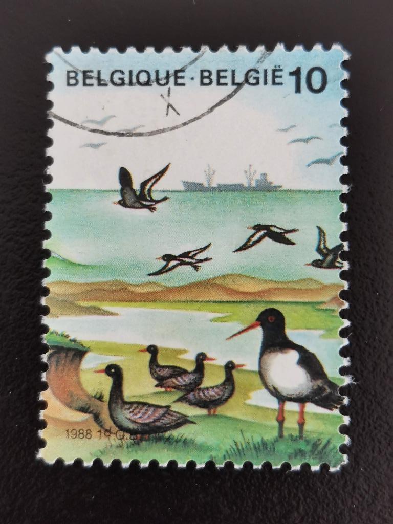 Belgique 1988 - La mer - oiseaux de mer, navire de mer, Enlèvement ou Envoi, Affranchi