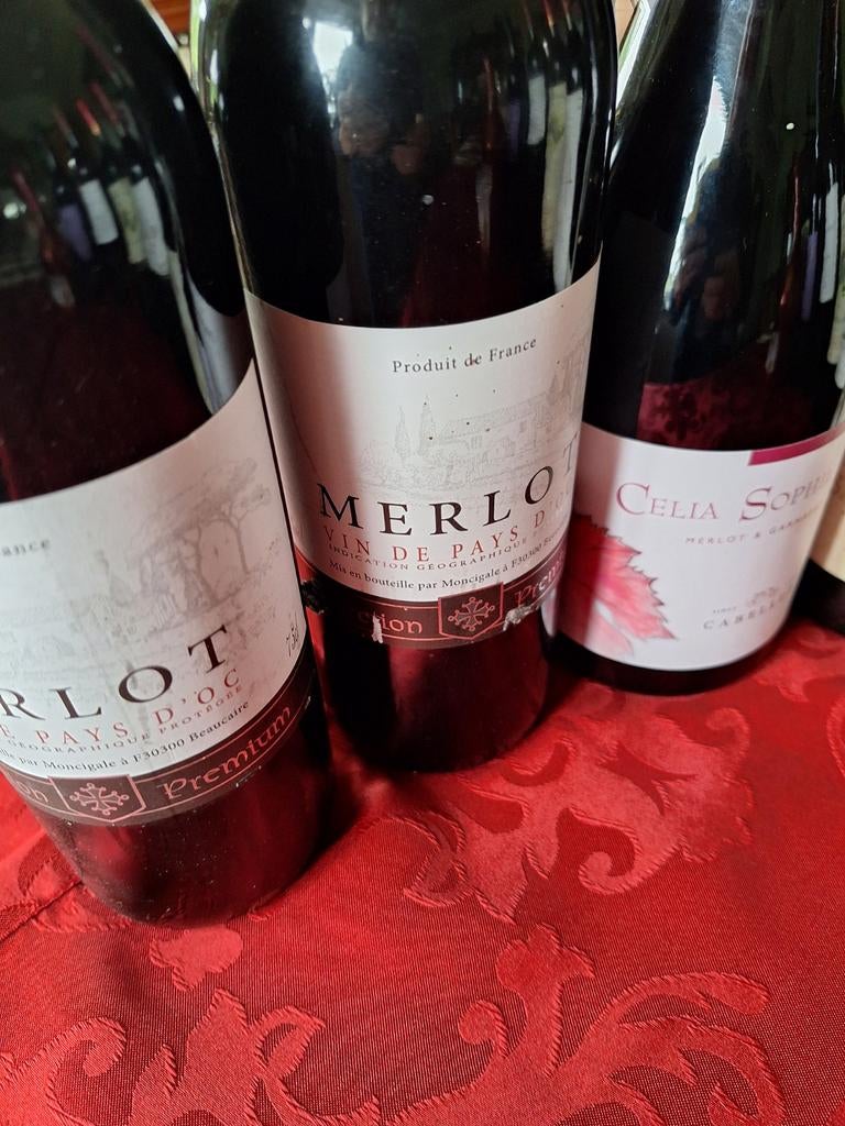 4 bouteilles vin rouge de provenance et millésime différents, Neuf, Pleine, Enlèvement, Vin rouge