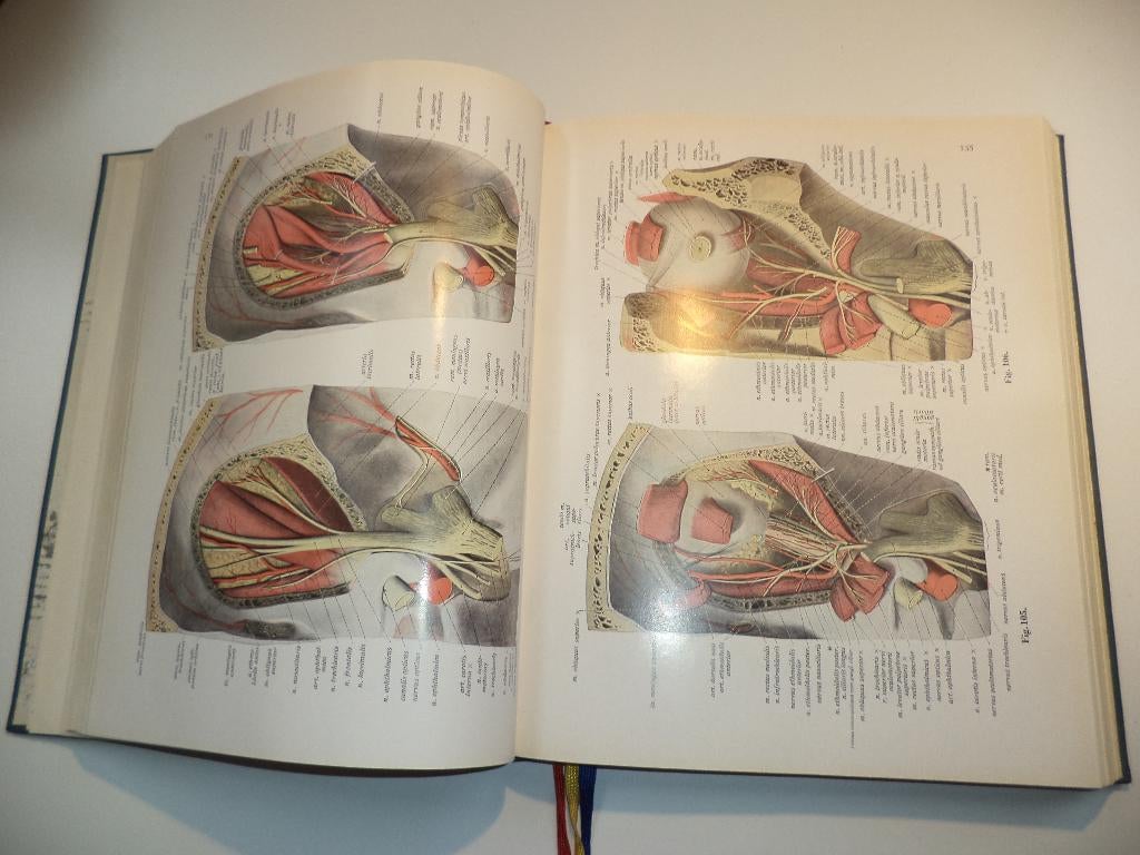 Atlas d'anatomie Sobotta-Becher 1962 plaques anatomiques, Enlèvement ou Envoi