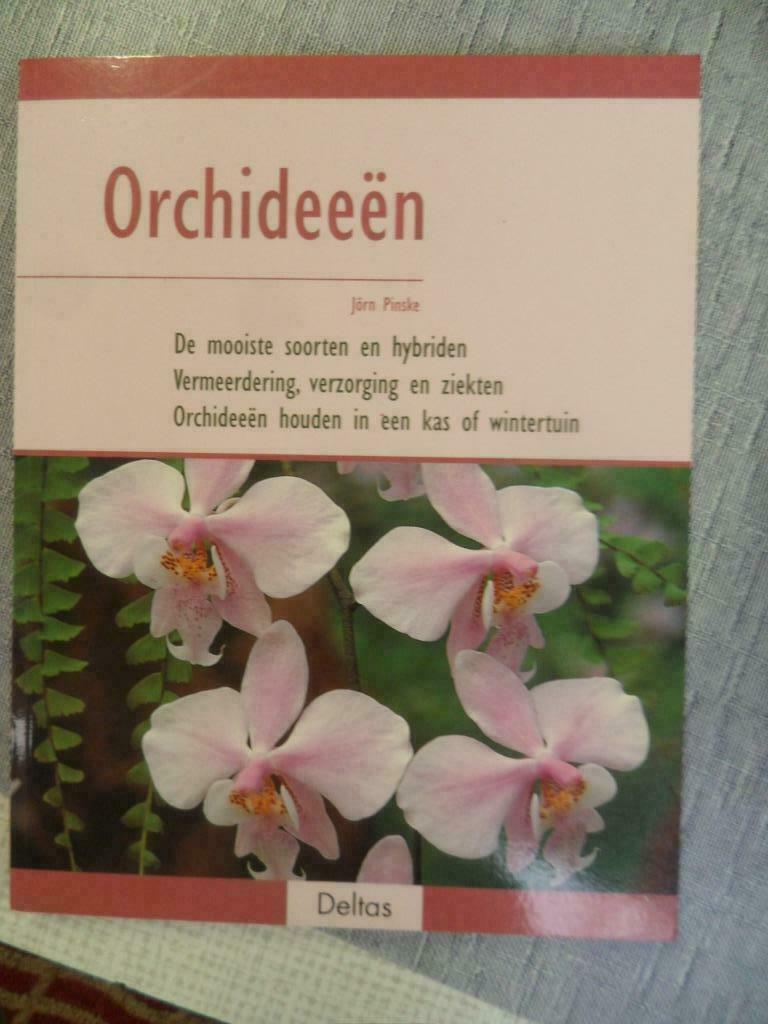 orchideeën, Ophalen of Verzenden, Zo goed als nieuw