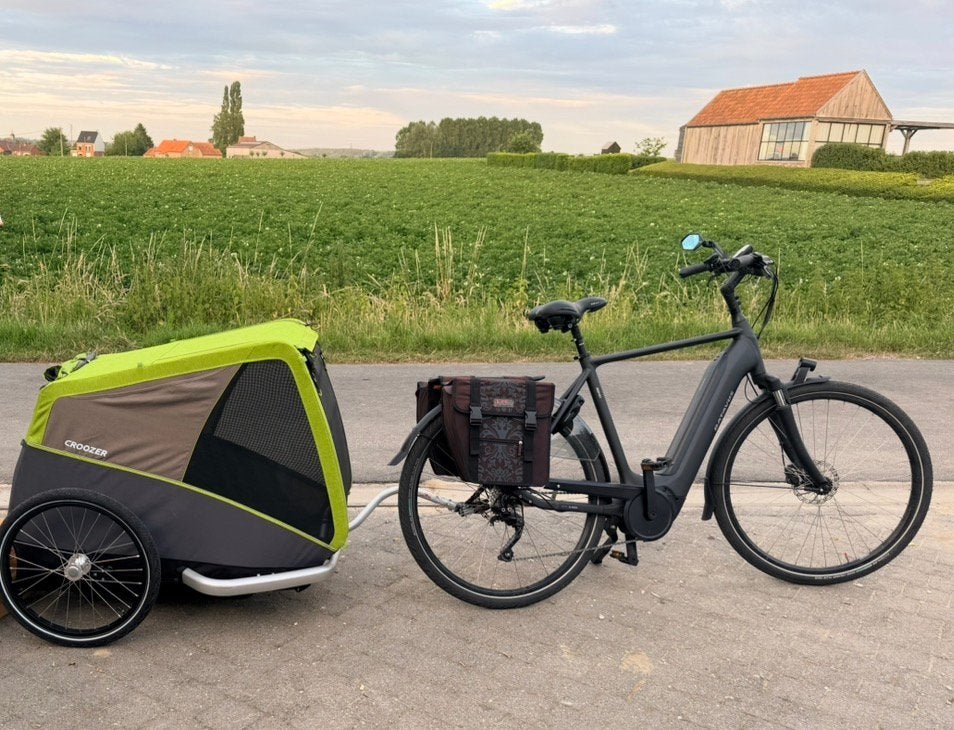 Croozer Jokke XL hondenfietskar. Nieuwstaat!, Enlèvement, Comme neuf