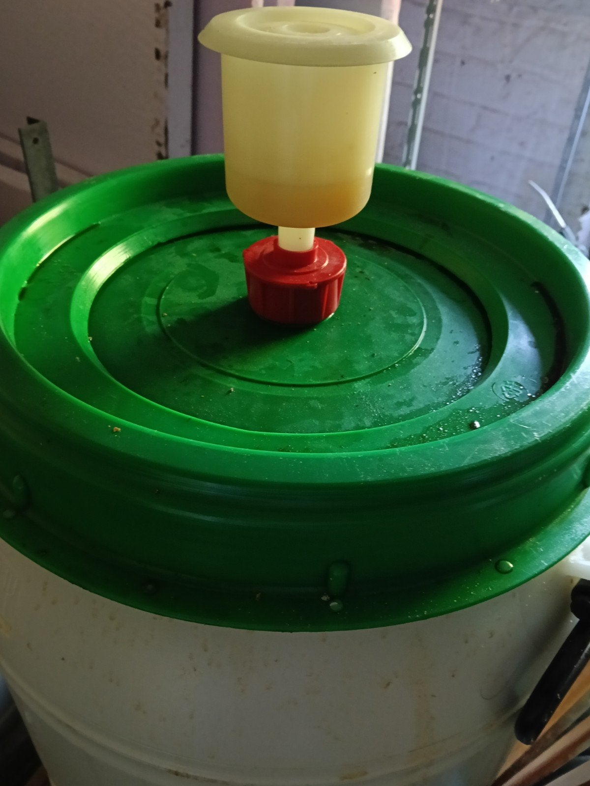 Kunststof vat gevuld met paardenbloemmede (50L), Ophalen