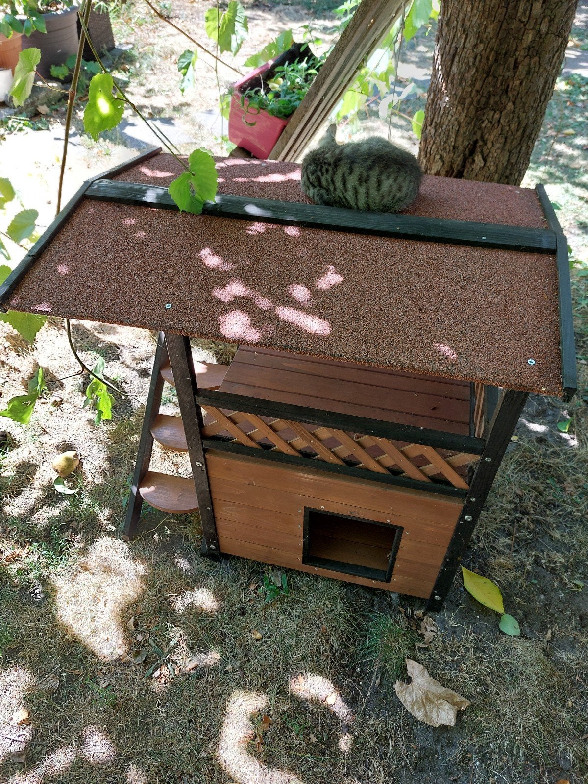 Kattenhuis met terras voor buiten, Ophalen, Zo goed als nieuw, Overige typen