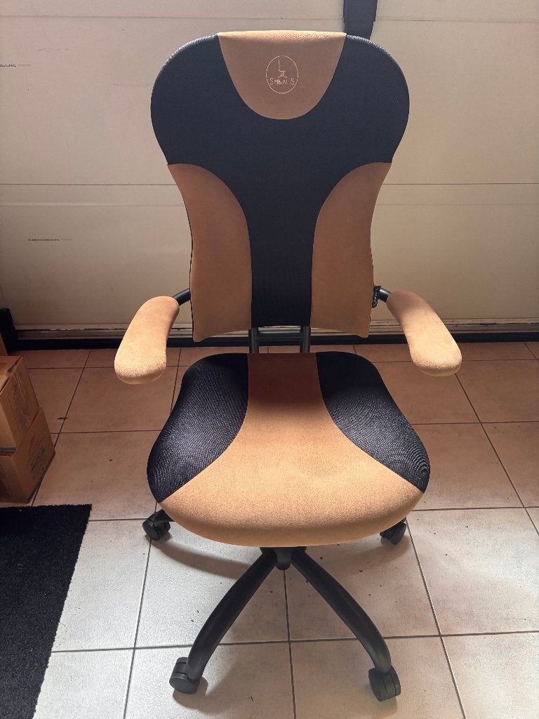 Ergonomische bureaustoel SPINALIS, Ophalen, Gebruikt, Zwart, Bureaustoel