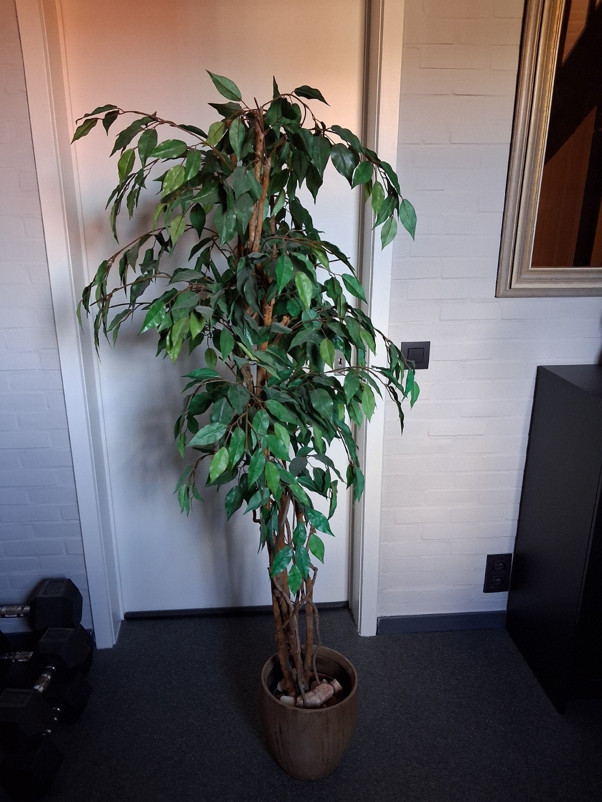 kunstplant met bloempot en decoratie stenen, Ophalen, Kunstplant