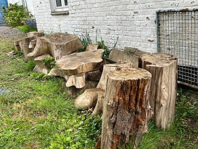bois de chauffage à donner, 3 à 6 m³, Enlèvement, Autres essences de bois, Troncs d'arbres