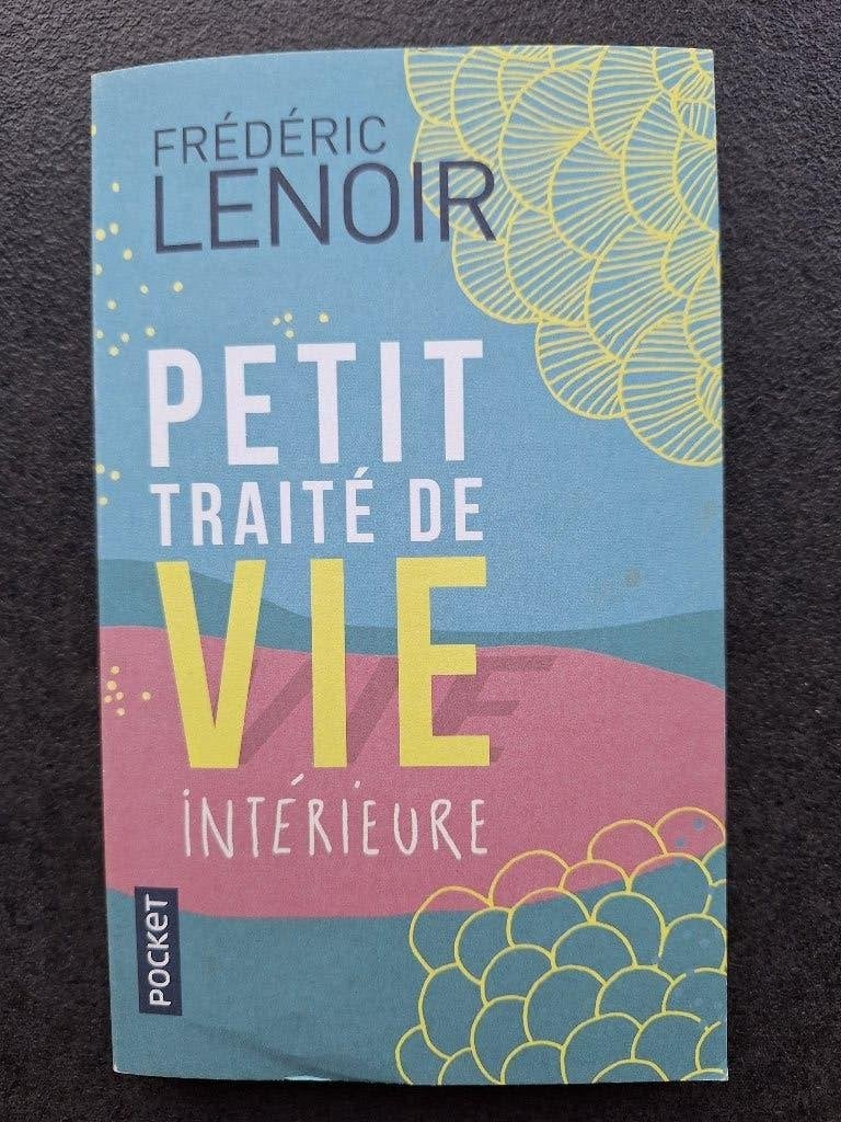 Petit traité de vie intérieure - Frédéric Lenoir, Livres, Enlèvement, Utilisé, Autres sujets/thèmes, Frédéric Lenoir