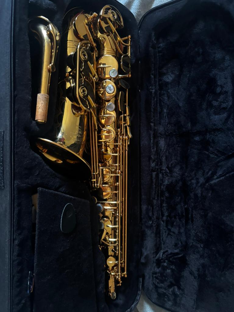 Le Monde Global Alt Saxophone, Muziek en Instrumenten, Ophalen, Zo goed als nieuw, Alt