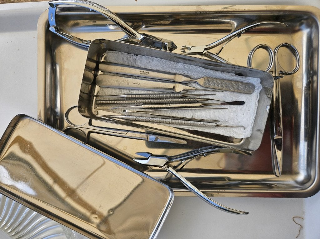 bakje voor chirurgische instrumenten van roestvrij staal, Ophalen