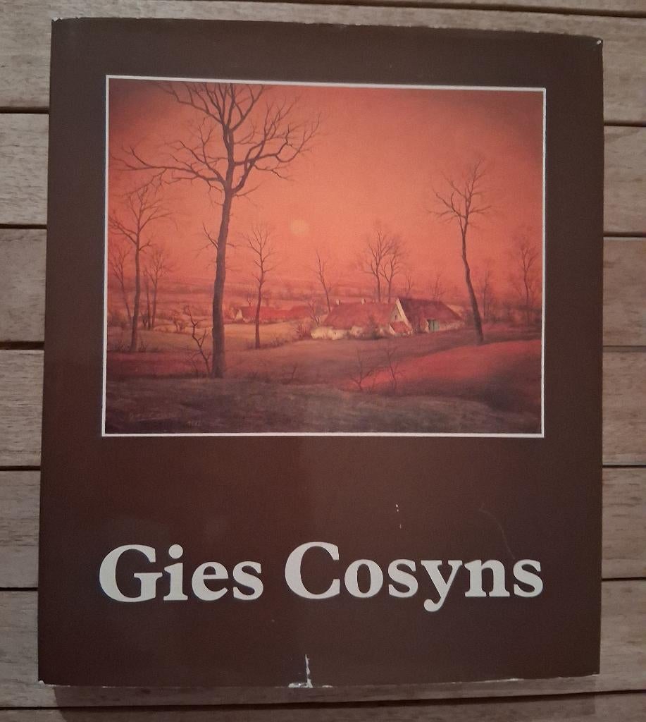 Gies Cosyns: Een lyricus van het landschap, Ophalen of Verzenden