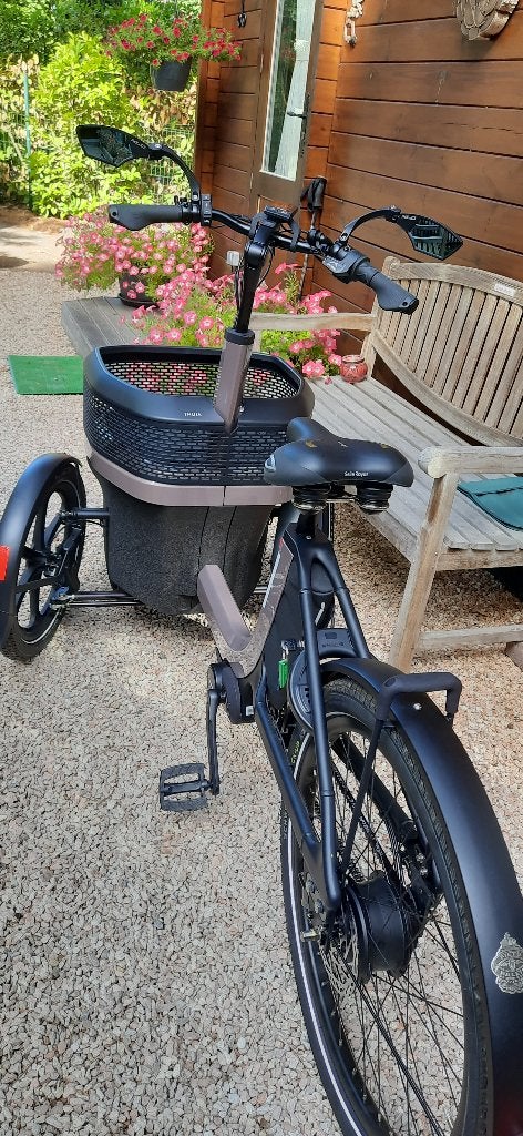 Thuja   - Preset Smooth bakfiets, Enlèvement, Comme neuf, Van Raam