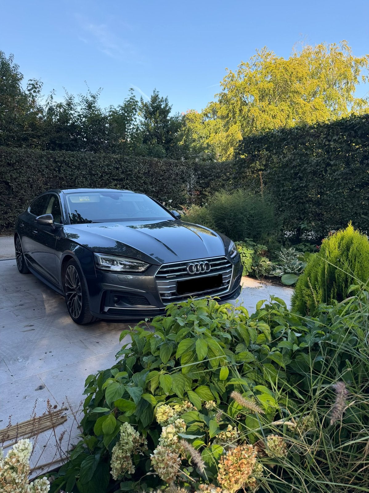 Audi A5 Quattro Sportback S-tronic 185 KW, 4 zetels, 4 cilinders, Alcantara, 1485 kg