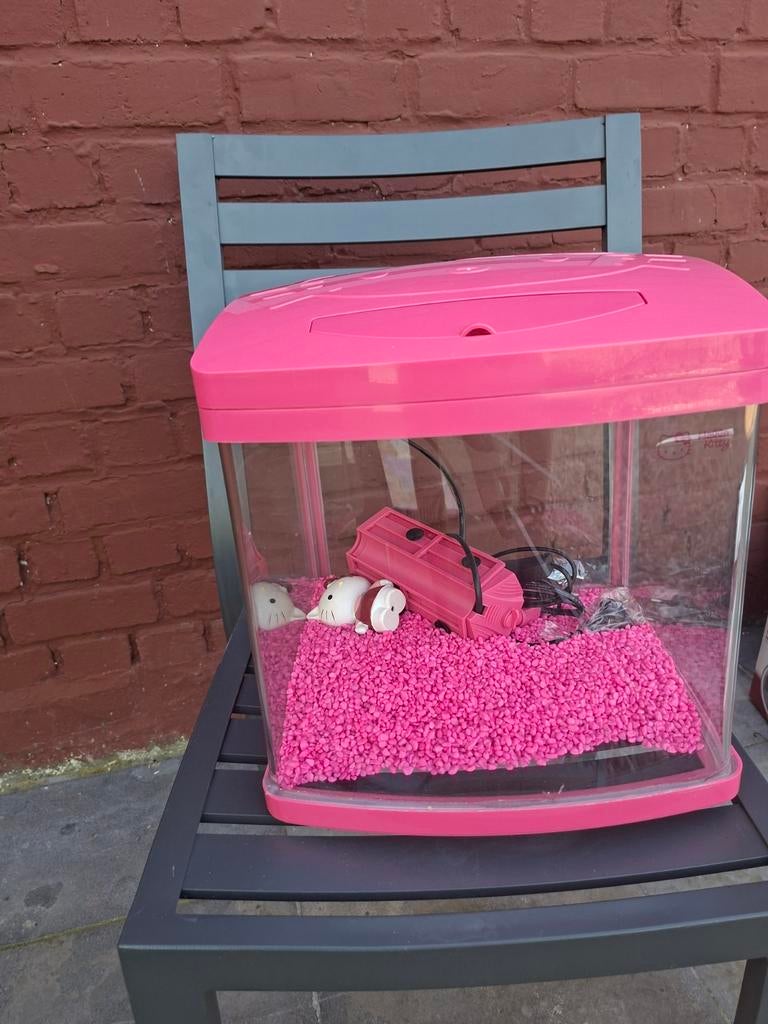 Aquarium Hello Kitty, Enlèvement, Neuf