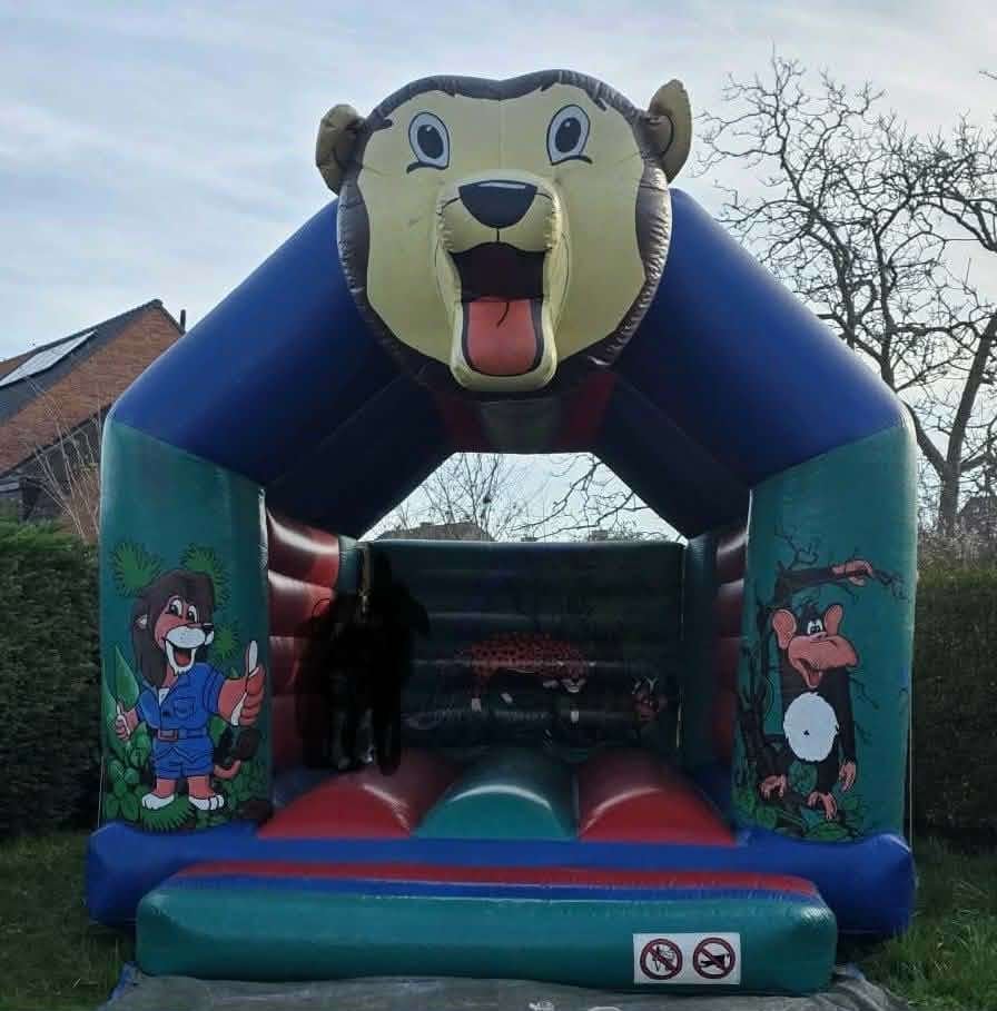 Châteaux gonflables, Hobby & Loisirs créatifs, Articles de fête | Location, Enlèvement, Comme neuf