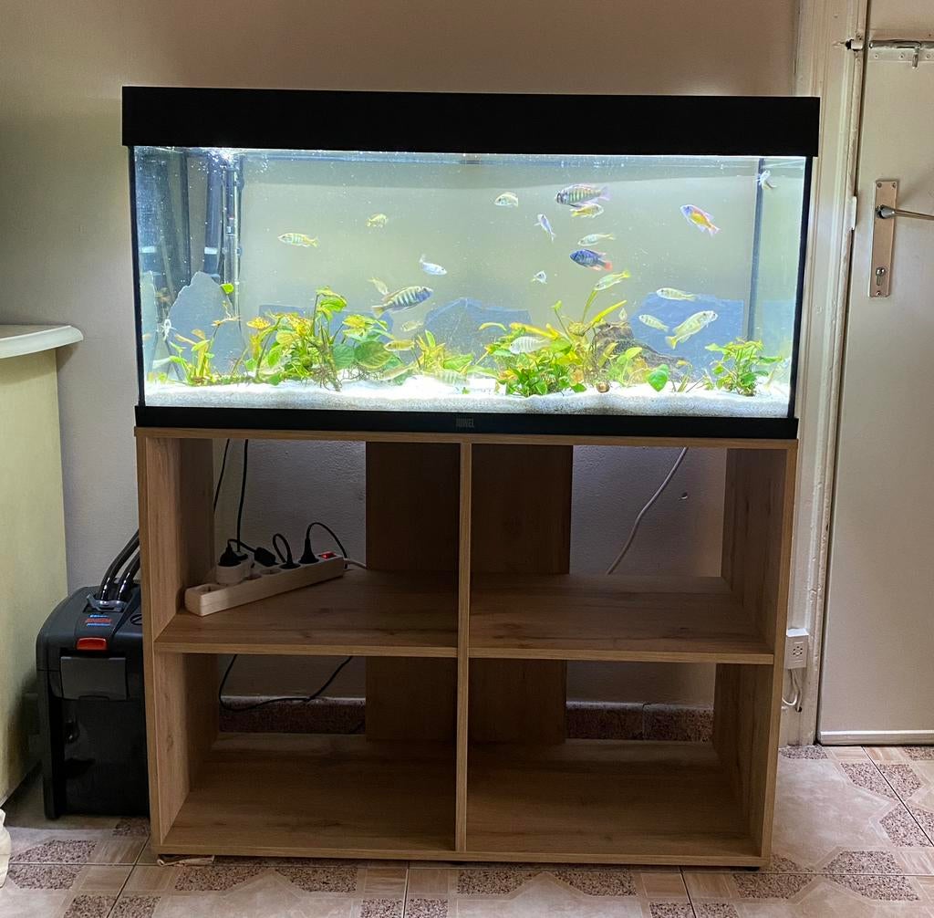 Aquarium 100x40x50 + lampe, chauffe eau, gravier et meuble, Enlèvement, Comme neuf, Éclairage ou Chauffage