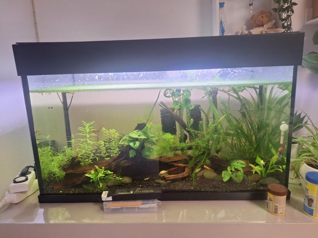 Aquarium 120l, Animaux & Accessoires, Enlèvement