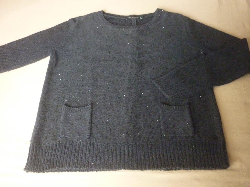 Trui met Kleine Pailletten River Woods, Kleding | Dames, Blauw, River Woods, Ophalen of Verzenden, Zo goed als nieuw