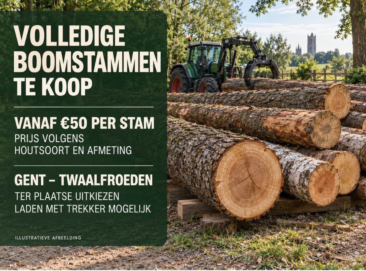 Professionele boomkapper gezocht, Tuin en Terras, Ophalen