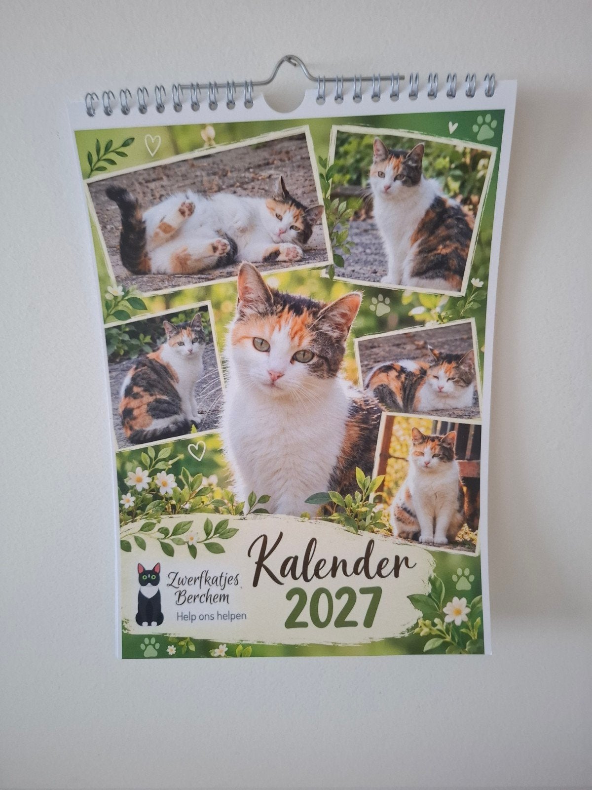 jaar kalender zwerfkatjes berchem, Diversen, Ophalen of Verzenden