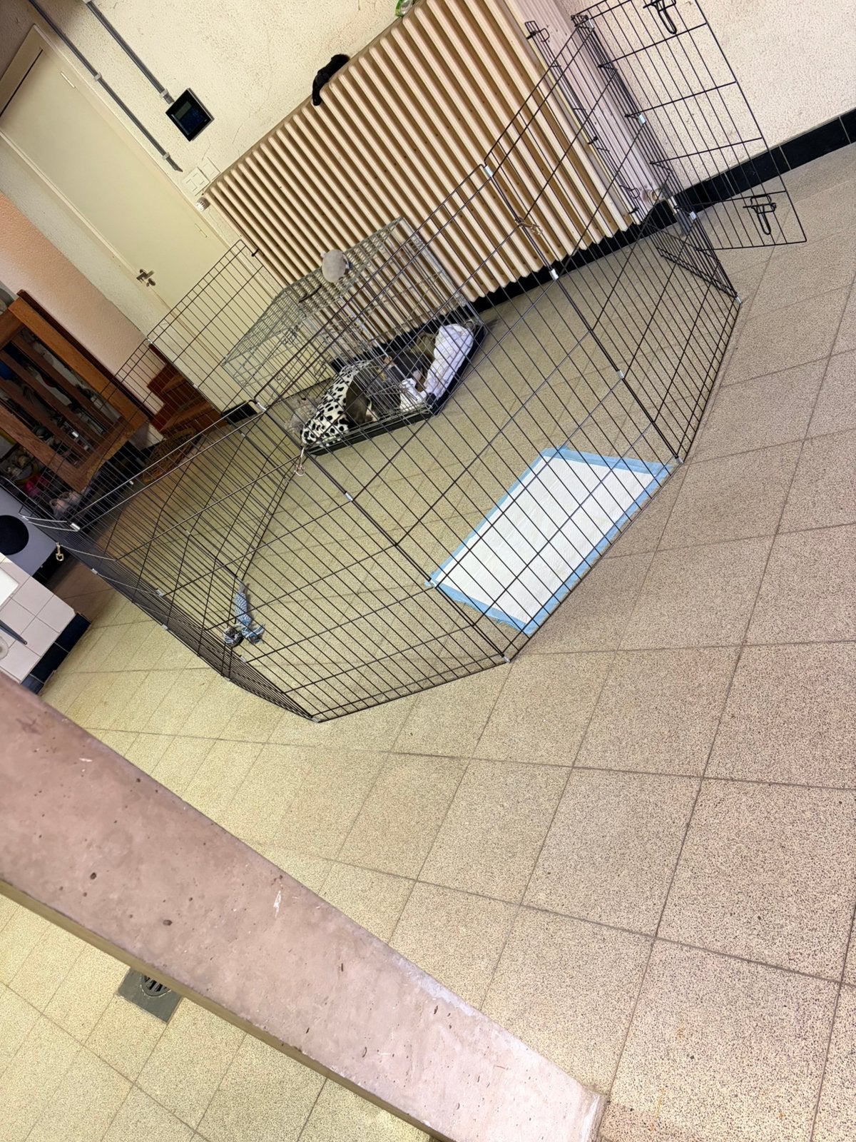 Bench en puppyren, Dieren en Toebehoren, Ophalen, Zo goed als nieuw
