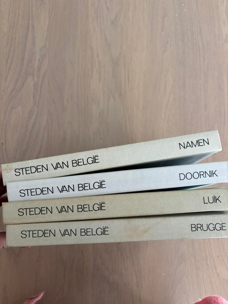 Steden van belgie, Boeken, Ophalen of Verzenden, Gelezen