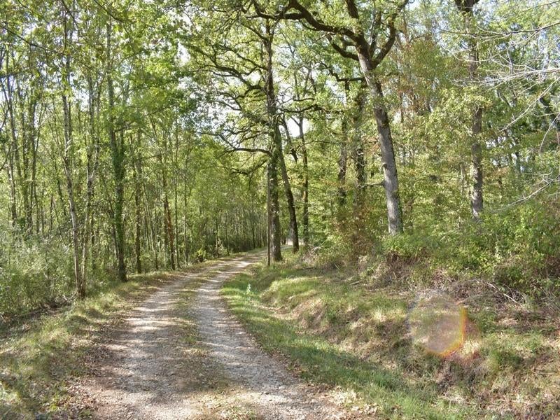 LOT 46 - Panoramisch uitzicht, zwembad, 12 Ha, geen buren, Immo, Buitenland, Frankrijk, Woonhuis, Landelijk