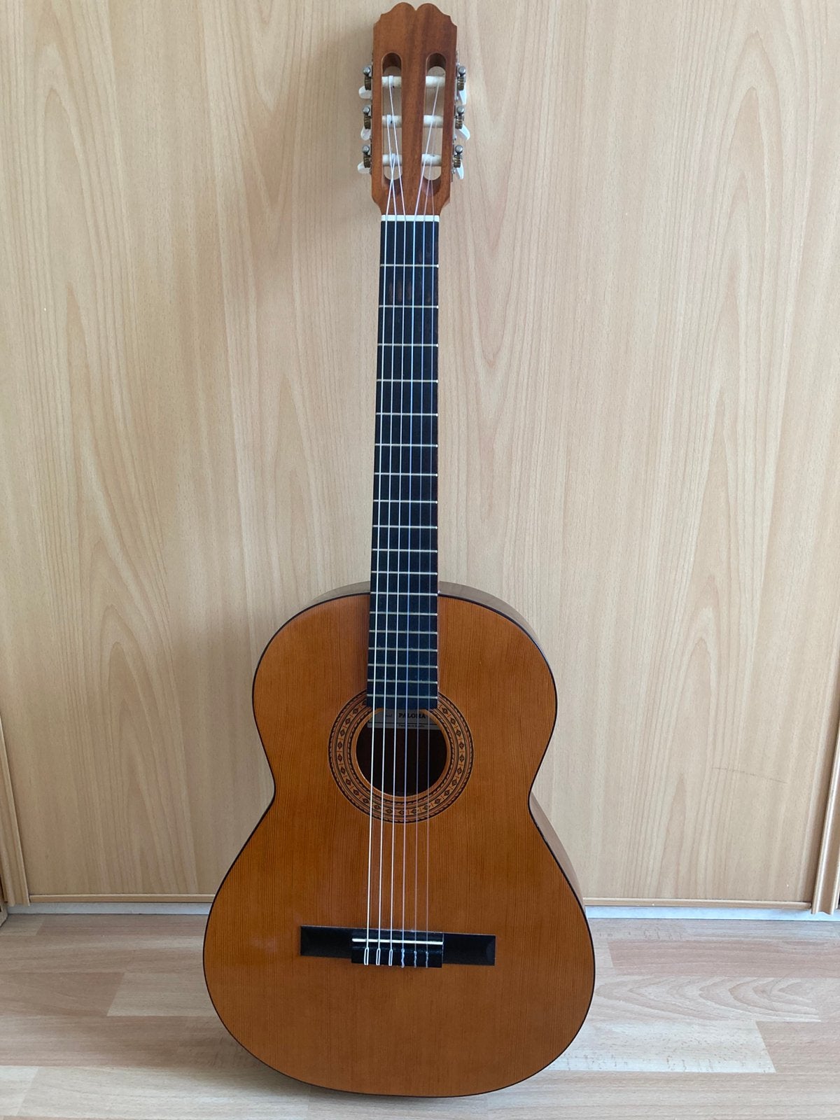 Guitare classique Admira Paloma (4/4)+Housse + Cordes neuves, Musique & Instruments, Instruments à corde | Guitares | Acoustiques