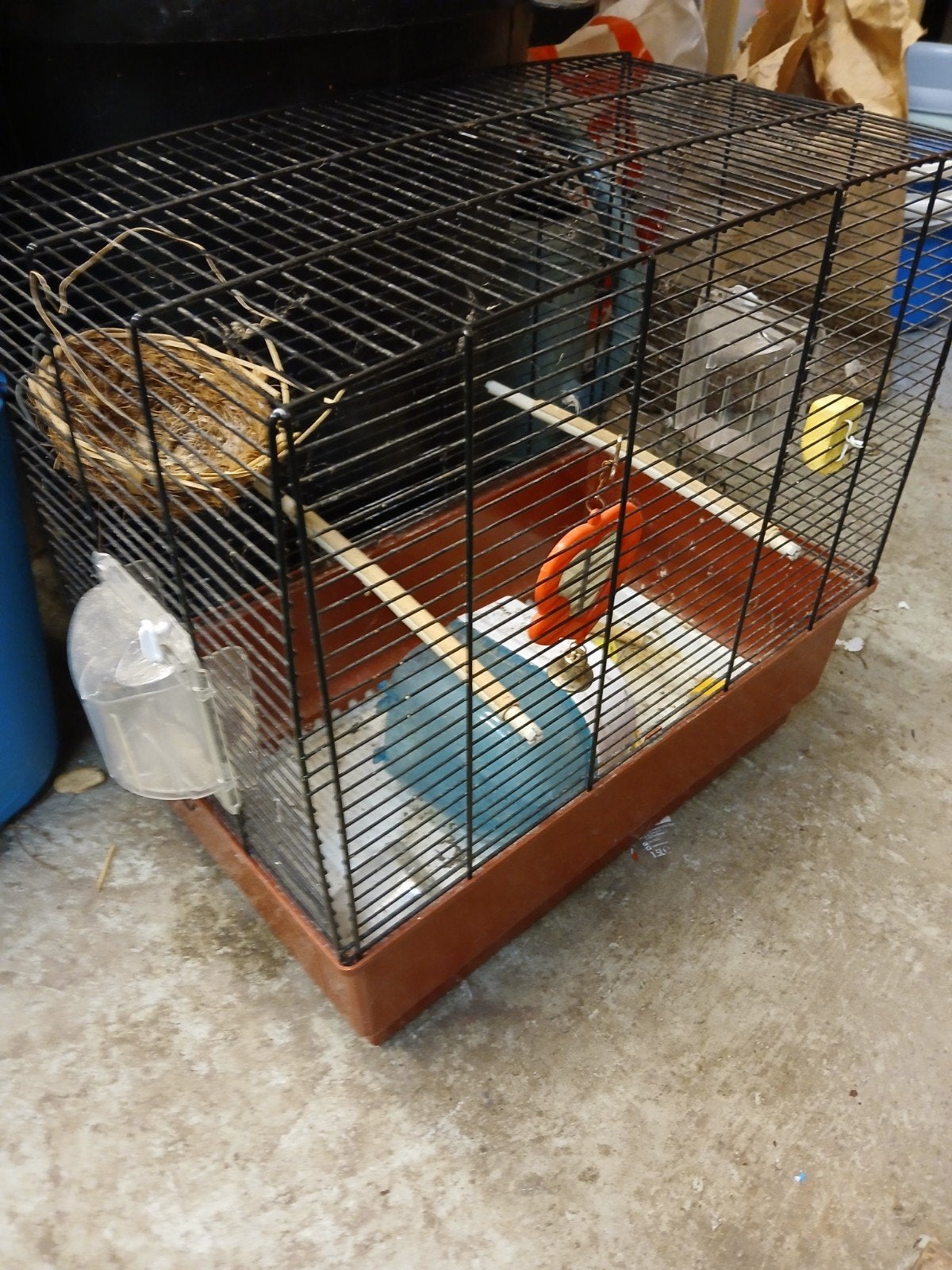 cage a oiseaux, Enlèvement, Cage