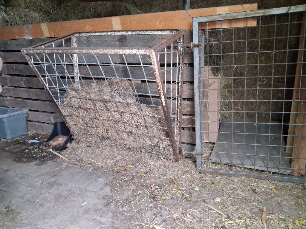 weide met schuilhok te huur, 1 cheval ou poney