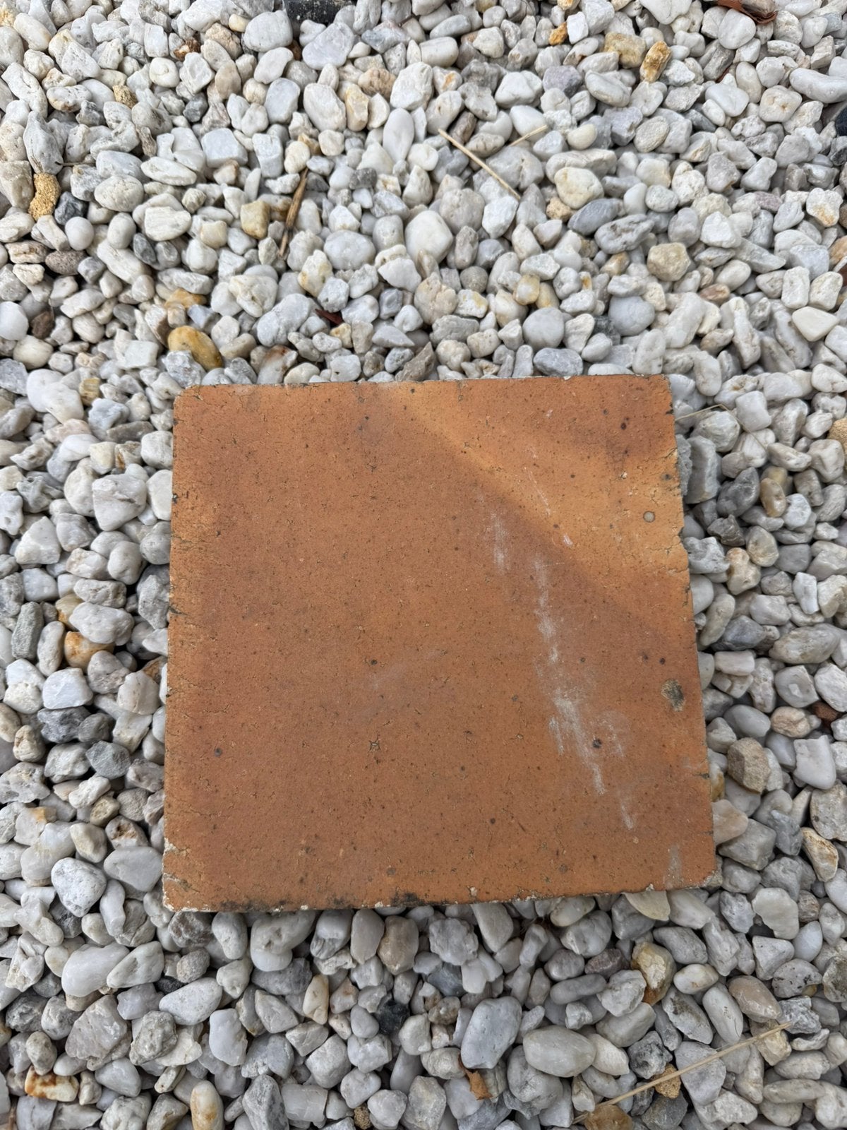 600 oude terracotta vloertegels 20 x 20 cm, Doe-het-zelf en Bouw, Ophalen, Overige materialen, Gebruikt, 20 tot 40 cm