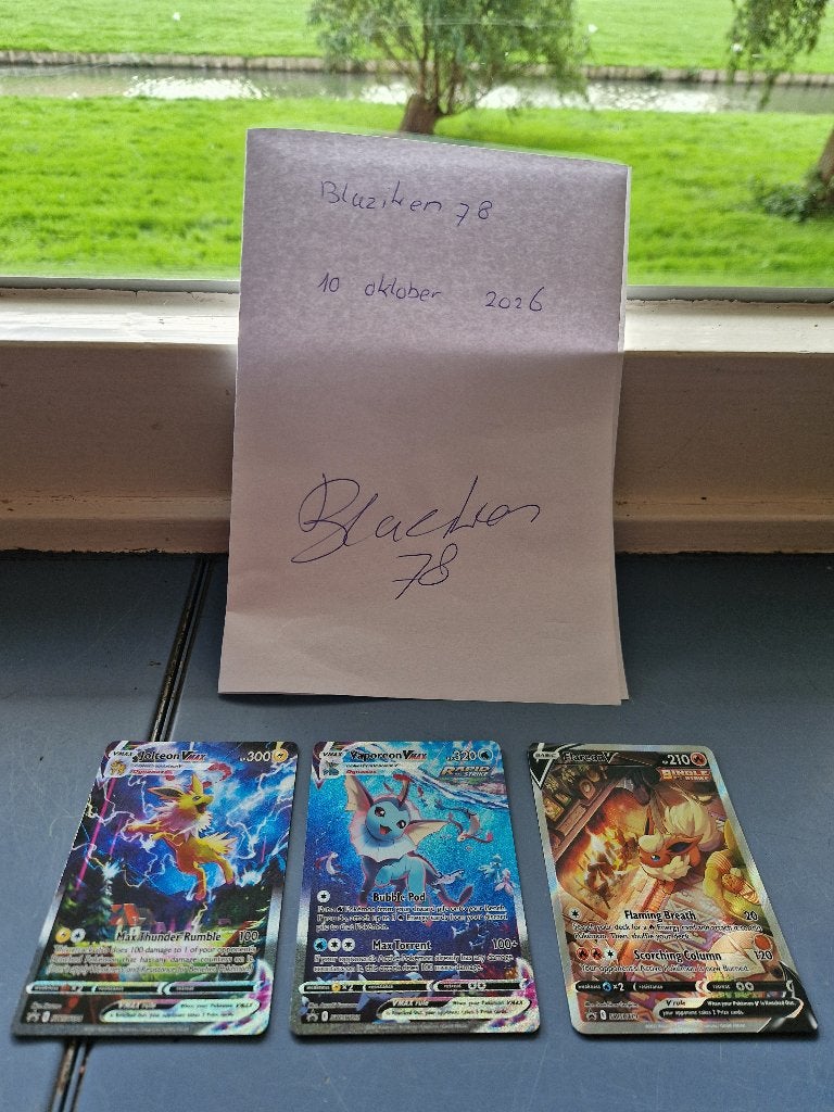 Setje Pokemonkaarten promo,s, Enlèvement ou Envoi, Neuf, Plusieurs cartes