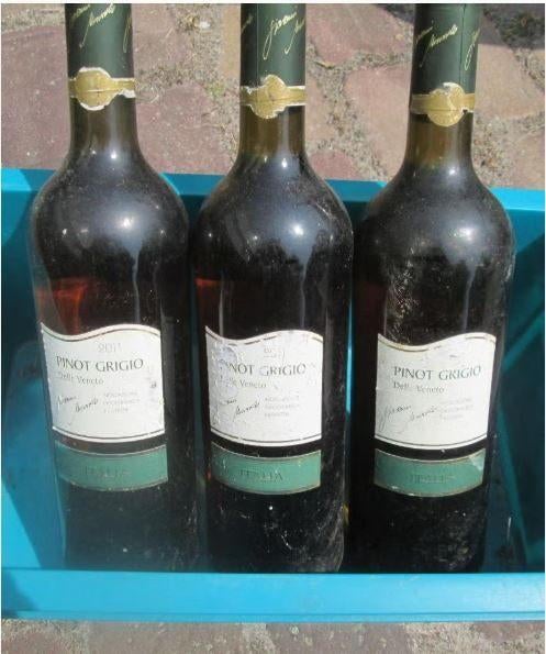 3x vin blanc italien - Pinot Grigio delle Veneto - 2011, Collections, Vins, Enlèvement ou Envoi, Pleine, Comme neuf, Vin blanc