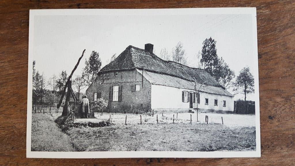 Postkaart Kasterlee Opperhoeven van Leenhof Terlo, Verzamelen, Ophalen of Verzenden, 1940 tot 1960, Ongelopen, Antwerpen