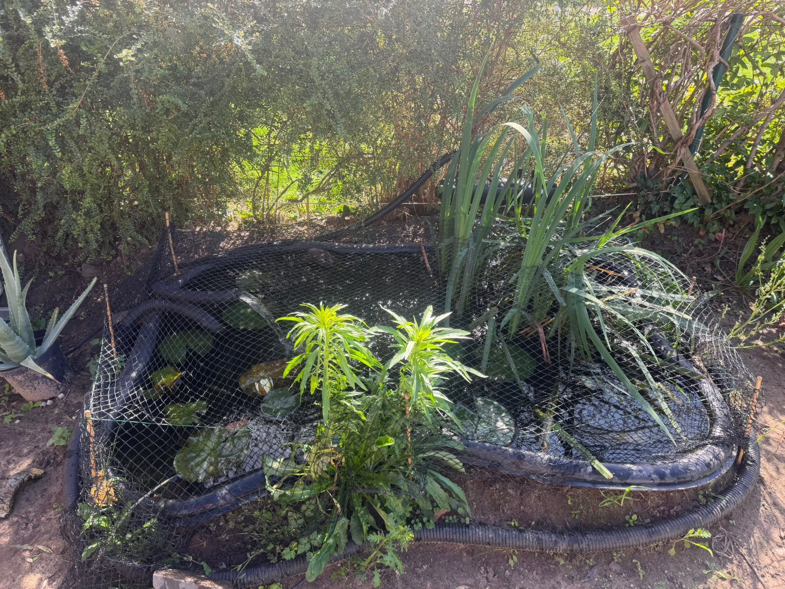 Visvijver, Tuin en Terras, Ophalen, Zo goed als nieuw