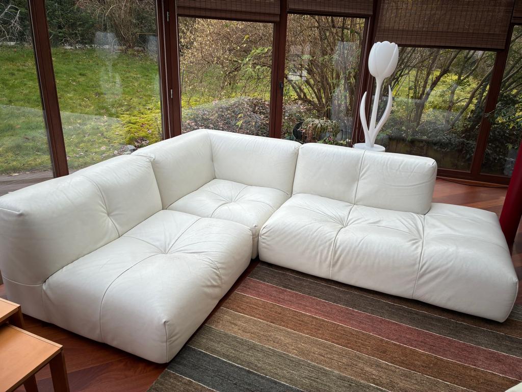 Zetel Roche Bobois, Ophalen, Gebruikt, Hoekbank, Leer