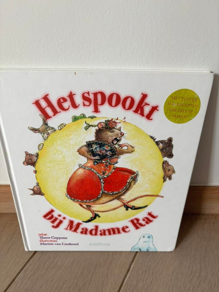 Kinderboek- Voorleesboek: Het spookt bij Madame Rat, Ophalen of Verzenden, Zo goed als nieuw, Voorleesboek