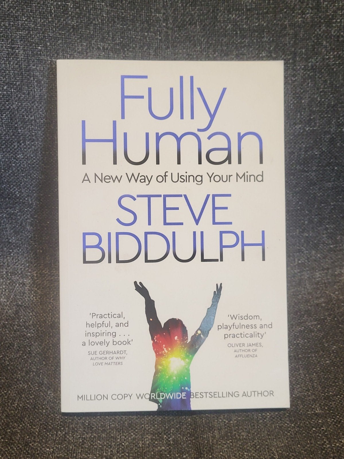 Fully Human A New Way of Using Your Mind, Boeken, Gelezen, Steve Biddulph, Ophalen of Verzenden, Ontwikkelingspsychologie