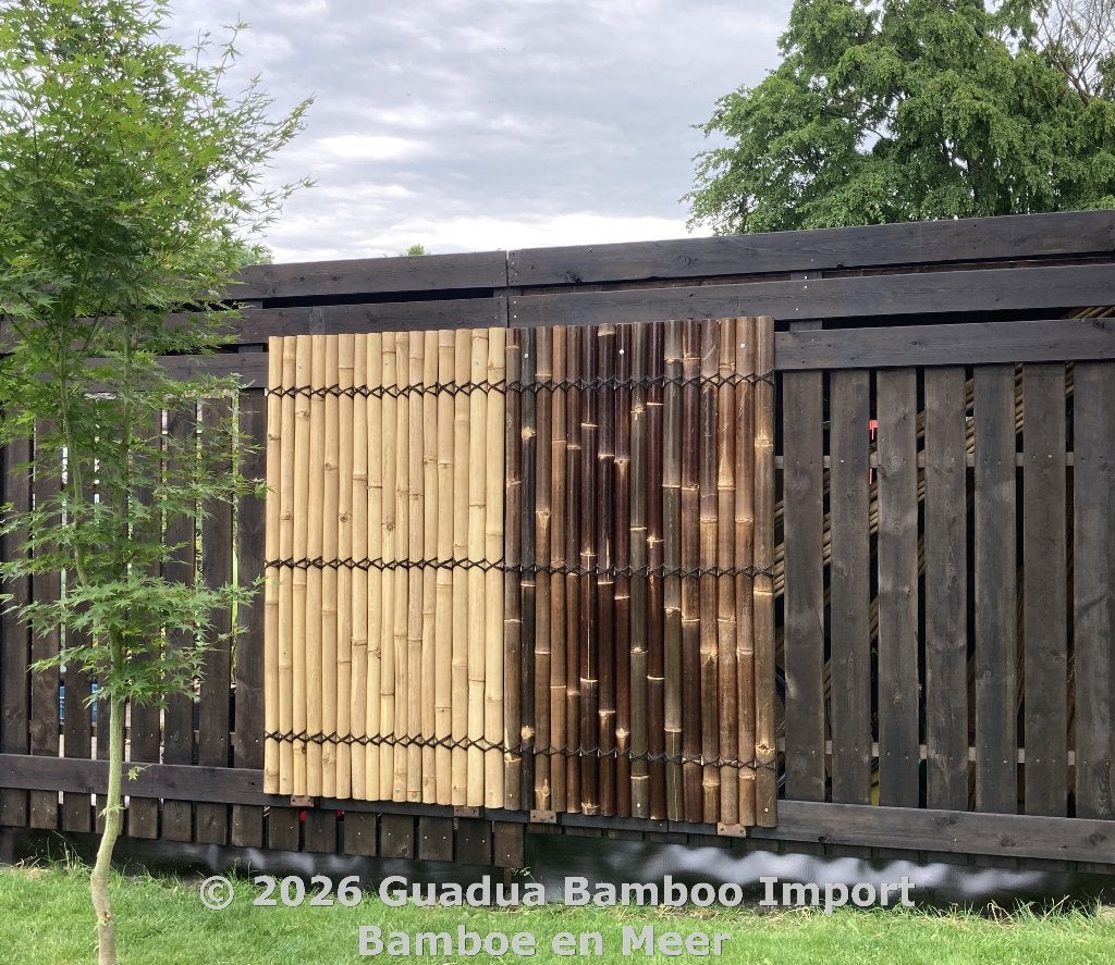 Tuinscherm bamboe donker of  naturel halfrond, Tuin en Terras, Ophalen, 100 tot 150 cm, Nieuw, 150 tot 200 cm
