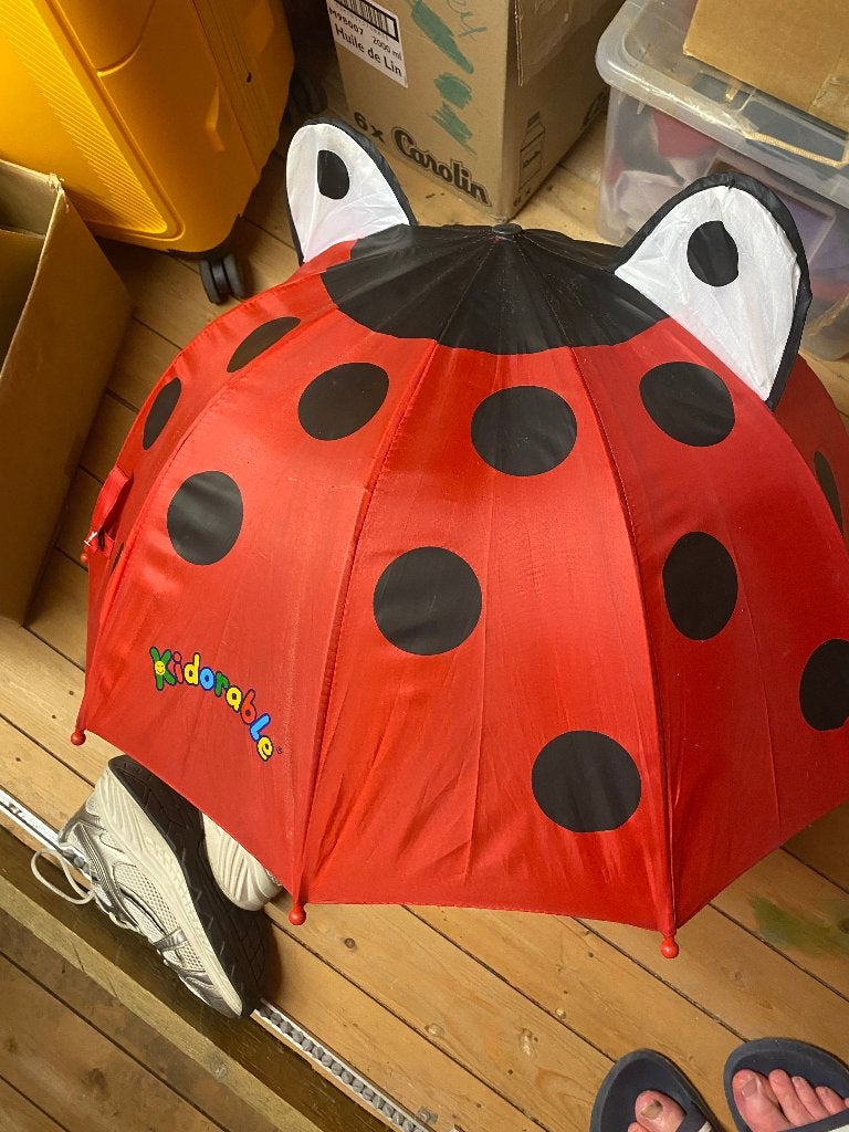 Paraplu lieveheersbeestje Kidorable, Ophalen, Zo goed als nieuw
