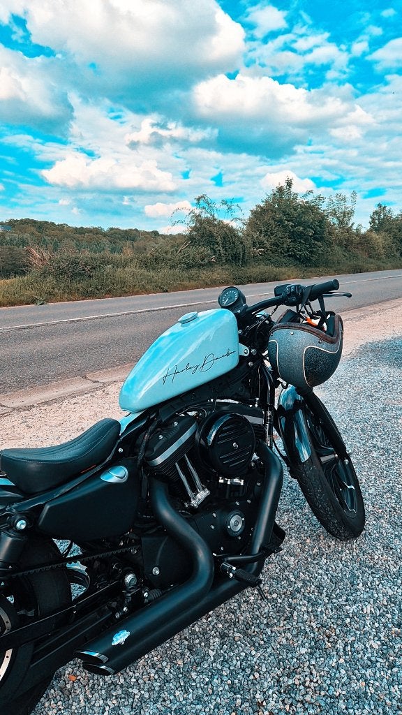 Harley Davidson iron 883, Motos, Occasion, Chopper, Particulier, Permis Moto A2 minimum