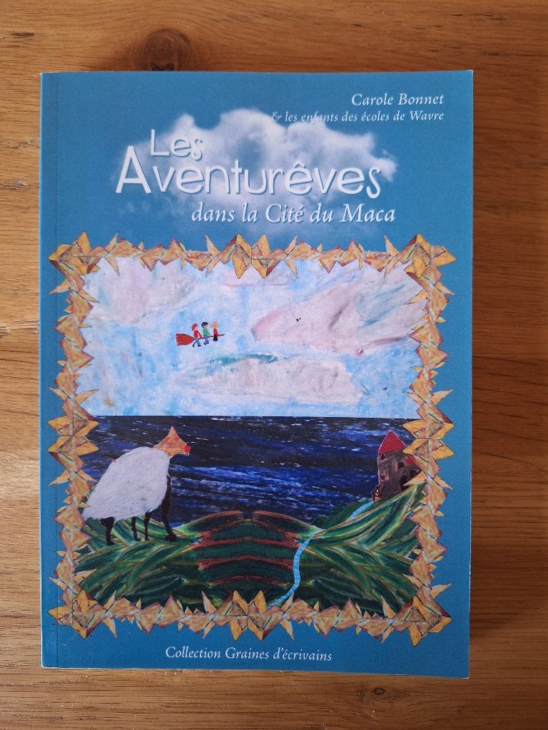 Les aventurêves dans la Cité du Maca - Carole Bonnet, Livres, Fiction, Comme neuf, Enlèvement, Carole Bonnet