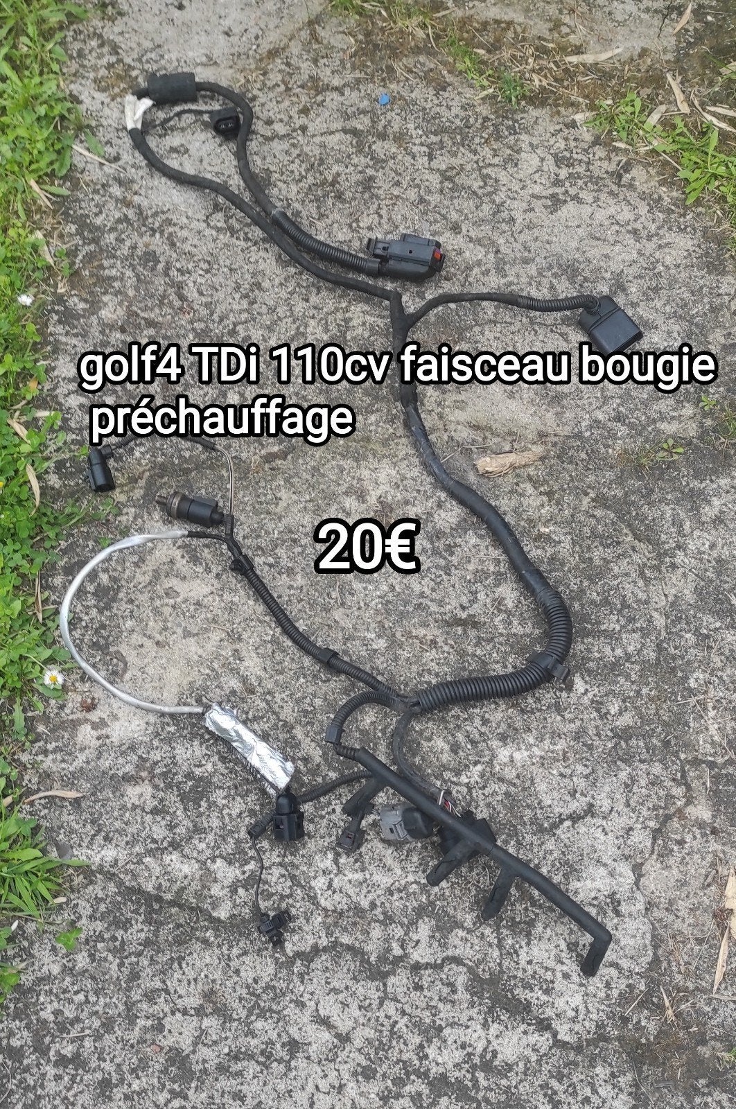 Golf4 TDi 110cv faisceau bougie de préchauffage voir  photos, Utilisé, Volkswagen