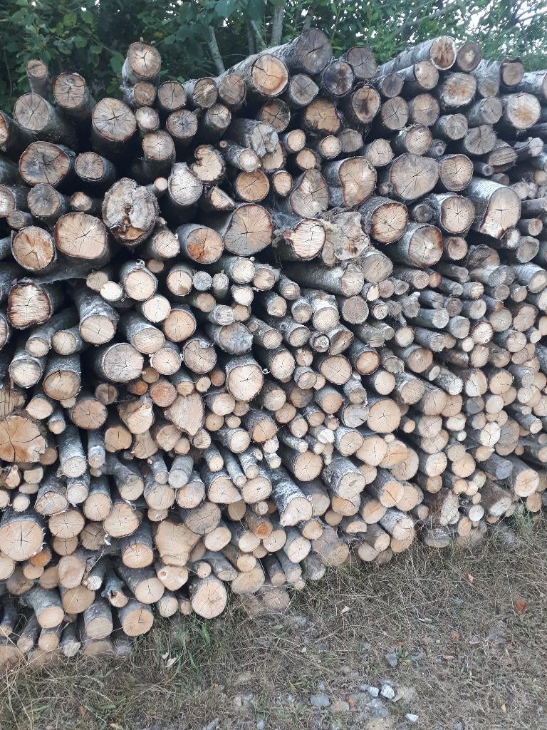 Bois chauffage, Divers, Enlèvement, Utilisé