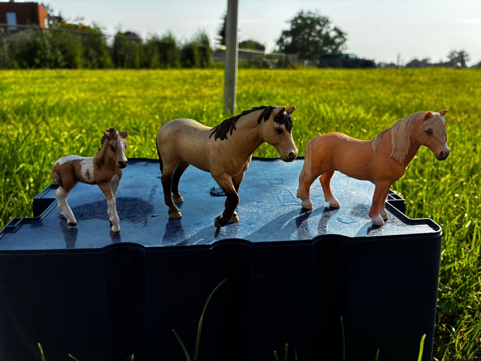 diverse schleich paarden, Ophalen of Verzenden