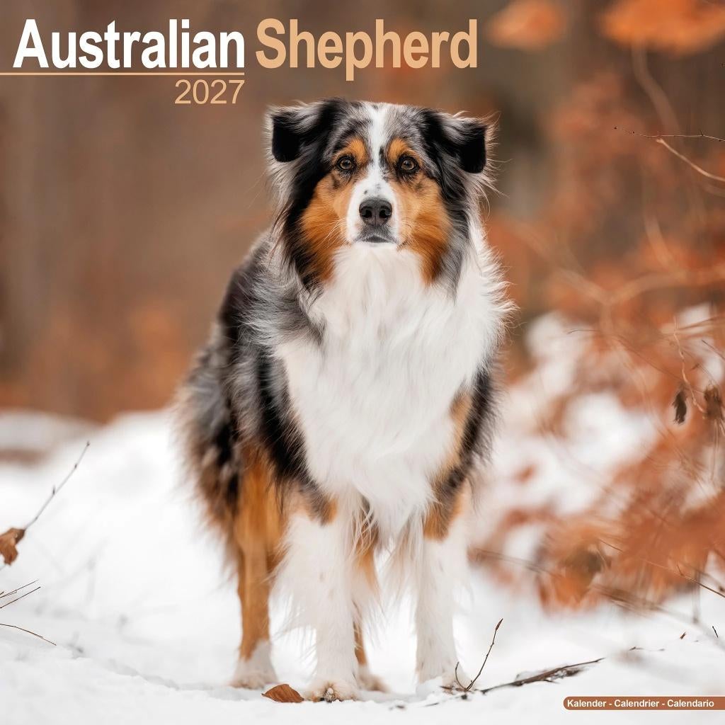 Calendrier Berger Australien 2027 en précommande, Divers, Calendriers, Envoi, Calendrier annuel, Neuf