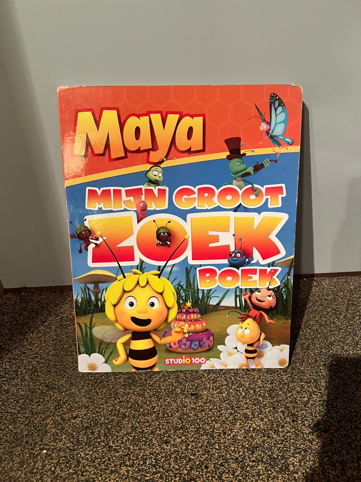 Mijn grote maya zoek boek, Ophalen of Verzenden, Gelezen