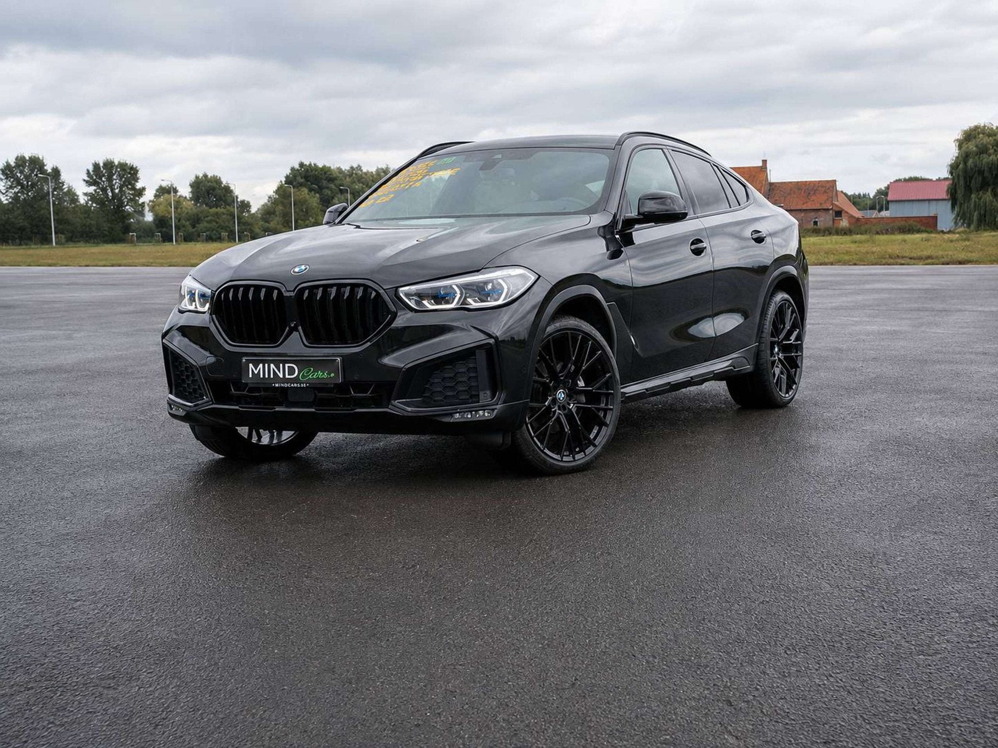 BMW X6 X6 3.0 dAS xDrive30 Hybrid - Jantes 22 - 1ier main -, Autos, Cuir, Achat, Euro 6, Entreprise
