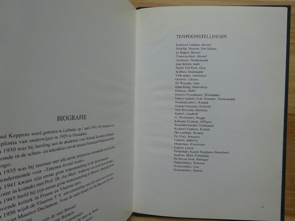 Juul Keppens - monografie, 1979, signed, Diverse auteurs, Ophalen of Verzenden, Zo goed als nieuw, Schilder- en Tekenkunst