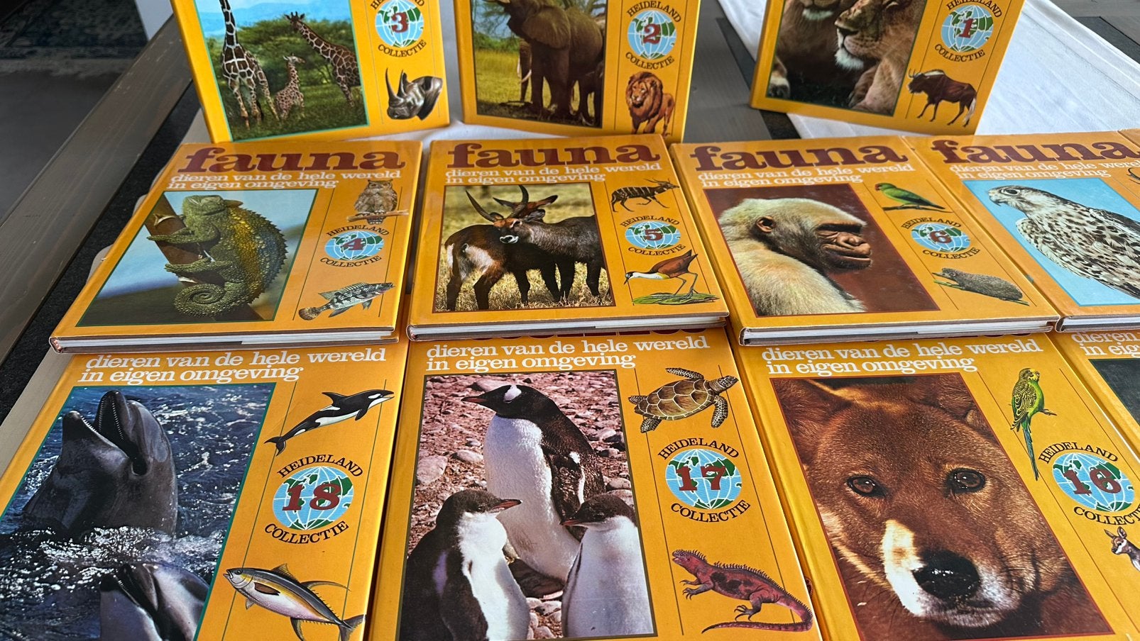 Fauna: Dieren van de hele wereld in eigen omgeving, Boeken, Ophalen, Zo goed als nieuw, Dieren