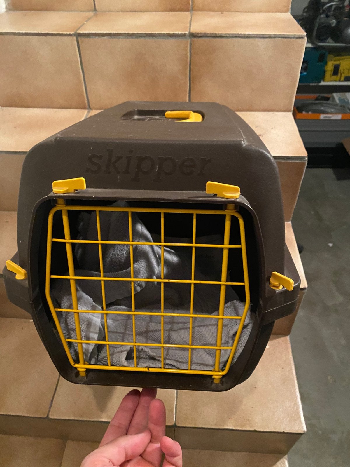 Kat bench, Dieren en Toebehoren, Ophalen, Zo goed als nieuw